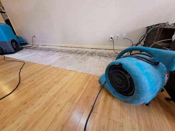 Professional Sewage Cleanup technician working in Dover, FL